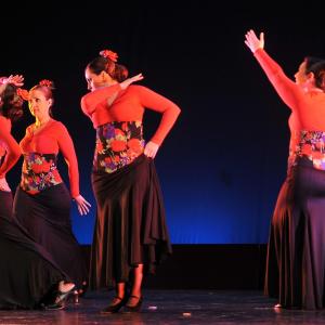 Fotografía de En Granada se danza contra el cáncer - 