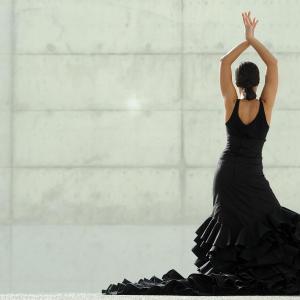 Fotografía de FEX 2012, Polos opuestos. Previo - Conservatorio de Danza