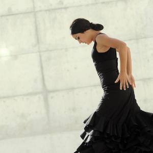 Fotografía de FEX 2012, Polos opuestos. Previo - Conservatorio de Danza