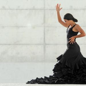Fotografía de FEX 2012, Polos opuestos. Previo - Conservatorio de Danza