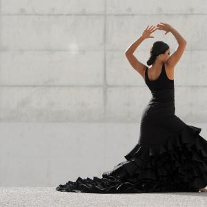Fotografía de FEX 2012, Polos opuestos. Previo - Conservatorio de Danza