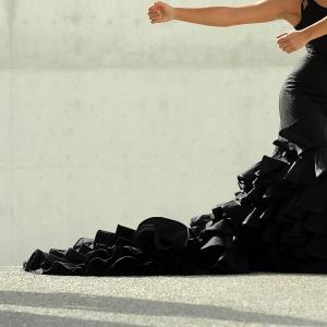 Fotografía de FEX 2012, Polos opuestos. Previo - Conservatorio de Danza