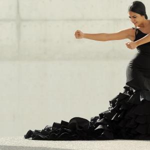 Fotografía de FEX 2012, Polos opuestos. Previo - Conservatorio de Danza