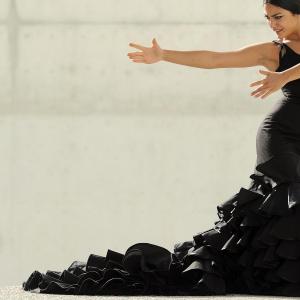 Fotografía de FEX 2012, Polos opuestos. Previo - Conservatorio de Danza