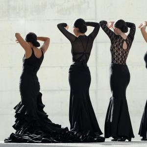 Fotografía de FEX 2012, Polos opuestos. Previo - Conservatorio de Danza
