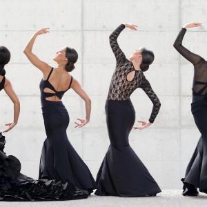 Fotografía de FEX 2012, Polos opuestos. Previo - Conservatorio de Danza