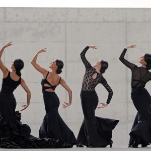 Fotografía de FEX 2012, Polos opuestos. Previo - Conservatorio de Danza