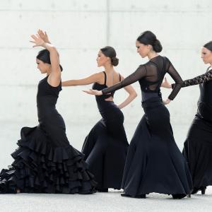 Fotografía de FEX 2012, Polos opuestos. Previo - Conservatorio de Danza