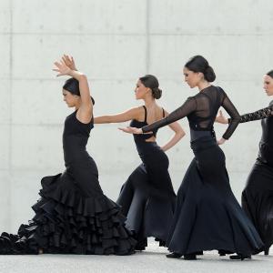 Fotografía de FEX 2012, Polos opuestos. Previo - Conservatorio de Danza