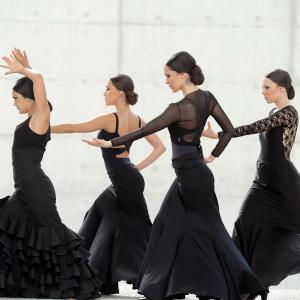 Fotografía de FEX 2012, Polos opuestos. Previo - Conservatorio de Danza