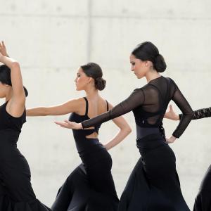 Fotografía de FEX 2012, Polos opuestos. Previo - Conservatorio de Danza