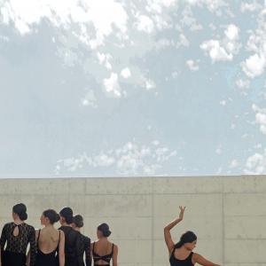 Fotografía de FEX 2012, Polos opuestos. Previo - Conservatorio de Danza