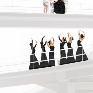 Fotografía de FEX 2012, Polos opuestos. Previo - Conservatorio de Danza