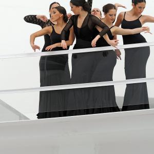 Fotografía de FEX 2012, Polos opuestos. Previo - Conservatorio de Danza