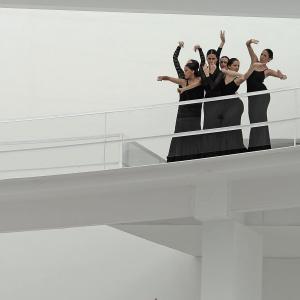 Fotografía de FEX 2012, Polos opuestos. Previo - Conservatorio de Danza