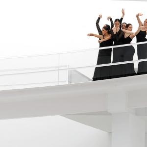 Fotografía de FEX 2012, Polos opuestos. Previo - Conservatorio de Danza