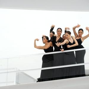 Fotografía de FEX 2012, Polos opuestos. Previo - Conservatorio de Danza