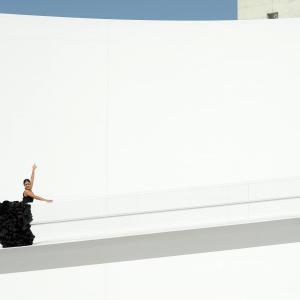 Fotografía de FEX 2012, Polos opuestos. Previo - Conservatorio de Danza