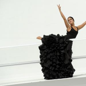 Fotografía de FEX 2012, Polos opuestos. Previo - Conservatorio de Danza