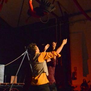 Fotografía de Jornadas Estupendas. Gala final - Los Estupendos Estúpidos