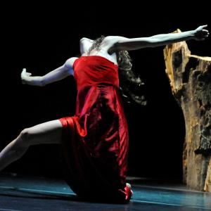 Fotografía de Canción ingenua - Granada Tanz Teatro