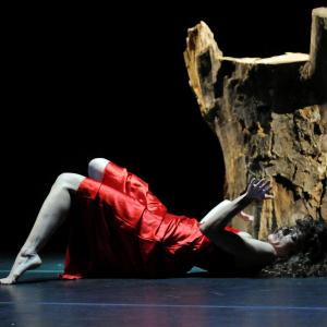 Fotografía de Canción ingenua - Granada Tanz Teatro