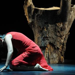 Fotografía de Canción ingenua - Granada Tanz Teatro