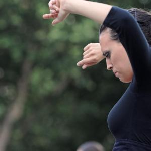 Fotografía de FEX 2012: Danz-ando - Conservatorio de Danza
