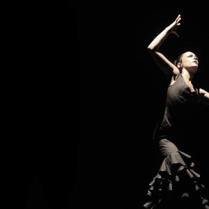 Fotografía de FEX 2012: Polos opuestos, ensayo general - Conservatorio de Danza