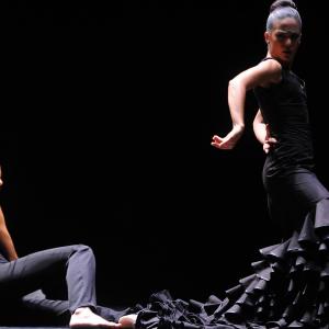 Fotografía de FEX 2012: Polos opuestos, ensayo general - Conservatorio de Danza