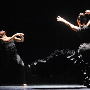 Fotografía de FEX 2012: Polos opuestos, ensayo general - Conservatorio de Danza