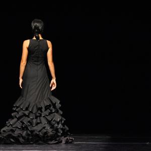 Fotografía de FEX 2012: Polos opuestos, ensayo general - Conservatorio de Danza