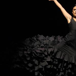 Fotografía de FEX 2012: Polos opuestos, ensayo general - Conservatorio de Danza