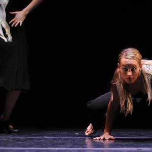 Fotografía de FEX 2012: Polos opuestos, ensayo general - Conservatorio de Danza