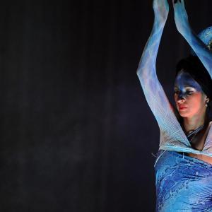 Fotografía de Cabaret oriental PranaDanza - Pranadanza