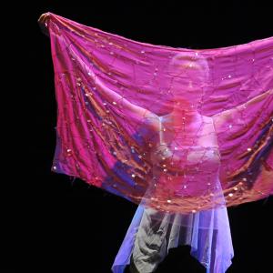 Fotografía de Gala Fin de curso de Terpsícore - Terpsícore, Taller de Danza