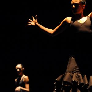 Fotografía de FEX 2012: Polos opuestos, 2ª actuación - Conservatorio de Danza