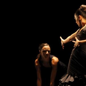 Fotografía de FEX 2012: Polos opuestos, 2ª actuación - Conservatorio de Danza