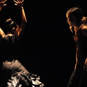 Fotografía de FEX 2012: Polos opuestos, 2ª actuación - Conservatorio de Danza