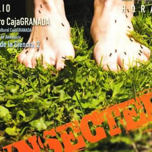 Fotografía de Insected - 
