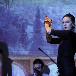 Fotografía de Raíz y duende en Sala Vimaambi - 