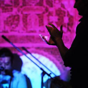 Fotografía de Raíz y duende en Sala Vimaambi - 