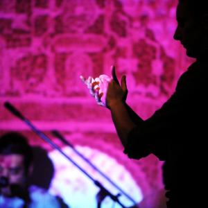 Fotografía de Raíz y duende en Sala Vimaambi - 
