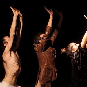 Fotografía de Vladimir Tzekov Teatro. Fantasía nº10 'La alegría de vivir' - Vladimir Tzekov