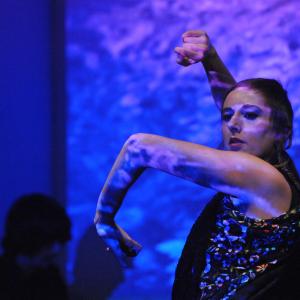 Fotografía de Raíz y duende en Sala Vimaambi - 