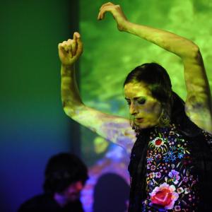 Fotografía de Raíz y duende en Sala Vimaambi - 