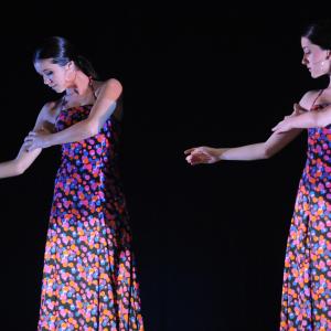 Fotografía de Concurso coreografías 2011, Nivel I - Conservatorio de Danza