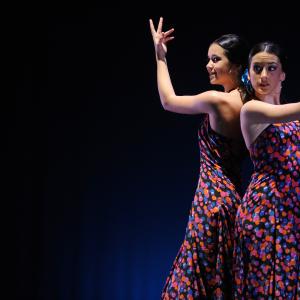 Fotografía de Concurso coreografías 2011, Nivel I - Conservatorio de Danza