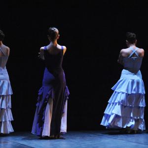 Fotografía de Dia de la Danza 2011 - Conservatorio de Danza
