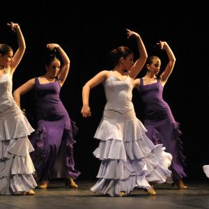 Fotografía de Dia de la Danza 2011 - Conservatorio de Danza